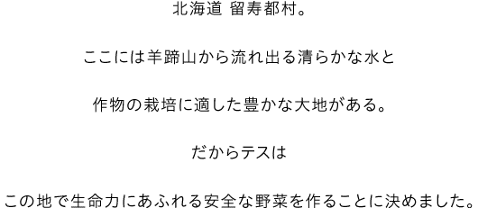 北海道 留寿都村。ここには羊蹄山から流れ出る清らかな水と作物の栽培に適した豊かな大地がある。だからテスはこの地で生命力にあふれる安全な野菜を作ることに決めました。